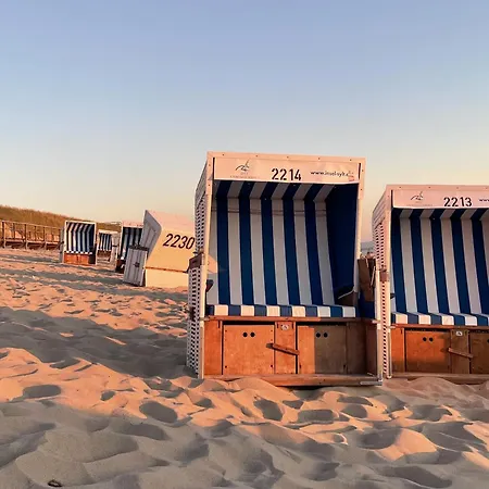 Kuestenmuschel Westerland