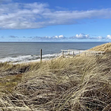 Kuestenmuschel Westerland